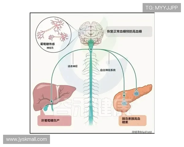 《德甲全部球队的介绍图与视觉内容分布展示》 《德甲全部球队的介绍图与视觉内容分布展示》